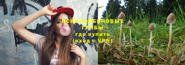 прущие крисы Нефтекумск