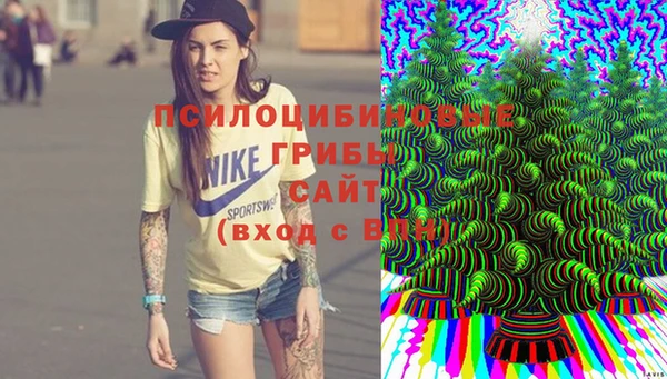 синтетический гашиш Новозыбков