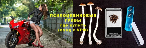 apvp Надым