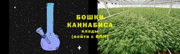 apvp Надым