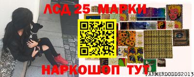 PSILOCYBIN Кинель