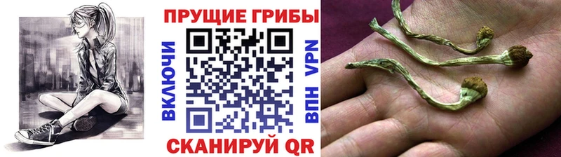 Псилоцибиновые грибы MAGIC MUSHROOMS  Старый Оскол 